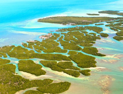 10 THINGS TO DO IN FLORIDA